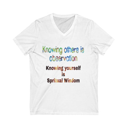 Unisex Jersey Short Sleeve V-Neck Tee