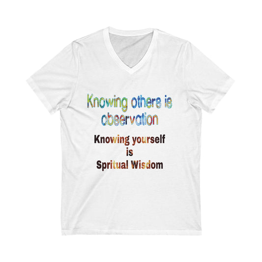 Unisex Jersey Short Sleeve V-Neck Tee