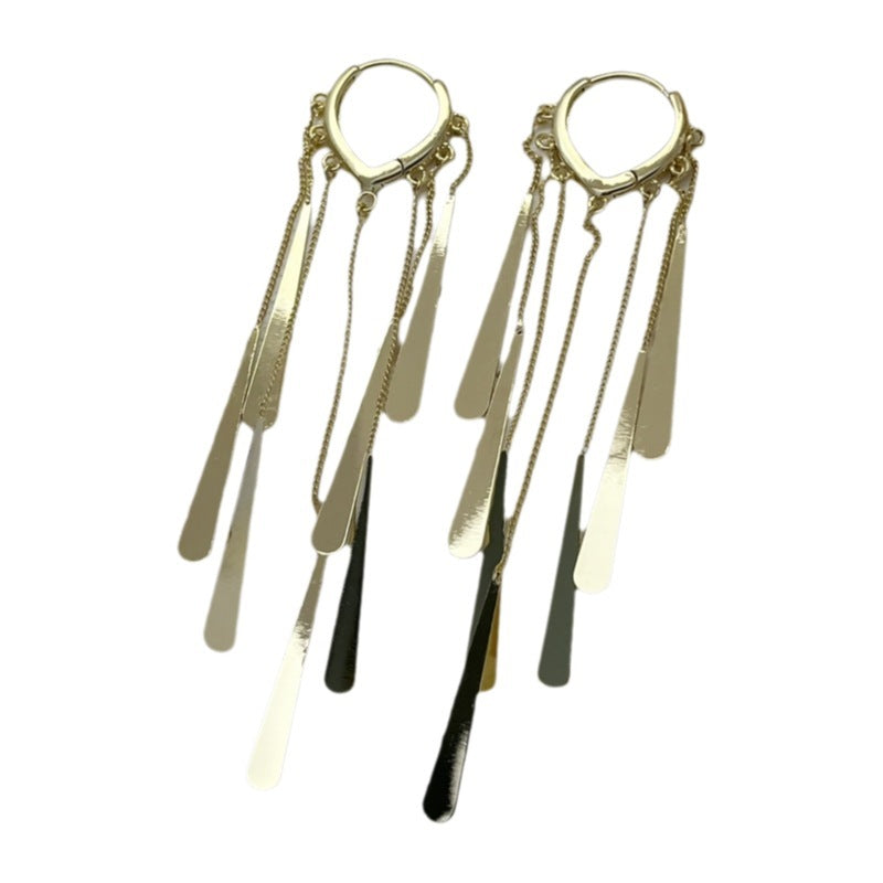 Long Fringe Earrings Special-interest Design Women