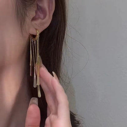 Long Fringe Earrings Special-interest Design Women