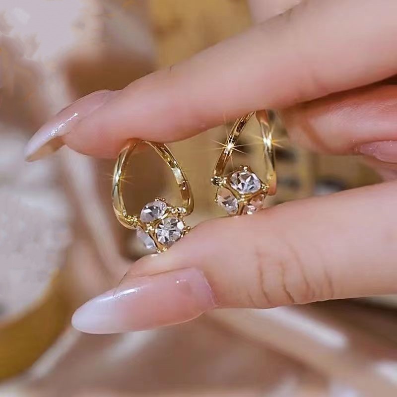 Special-interest Design Female Earrings Small And Exquisite